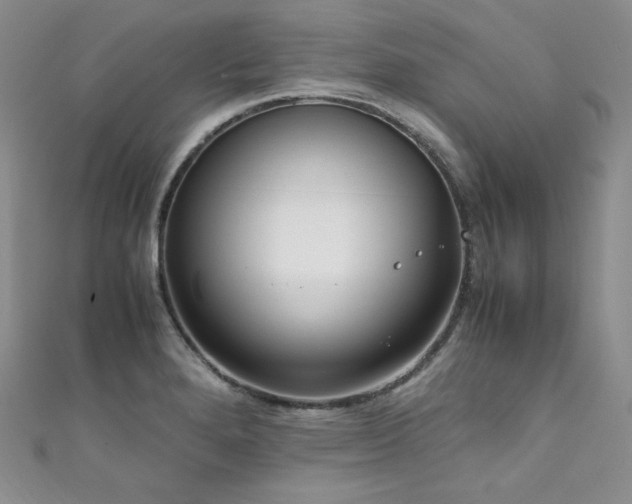 X0000111851280200907231421