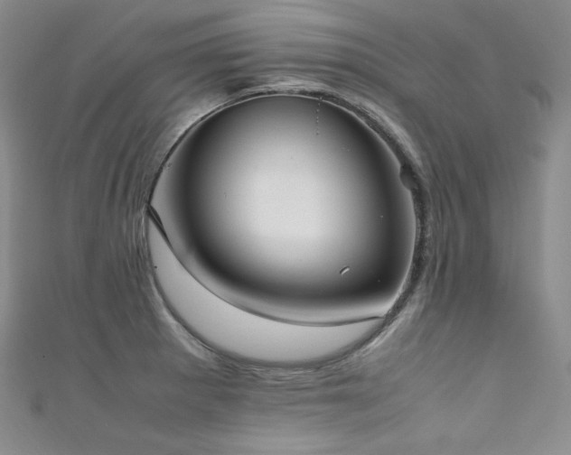 X0000111851281200907231421