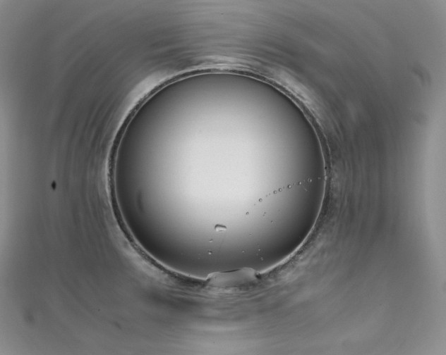 X0000111851283200907231421