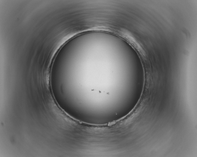 X0000111851284200907231421