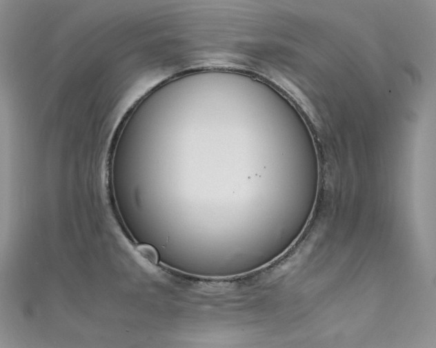 X0000111851285200907231421