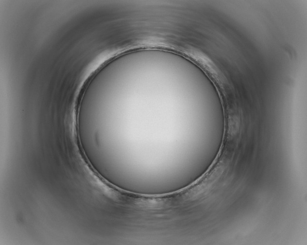 X0000111851286200907231421