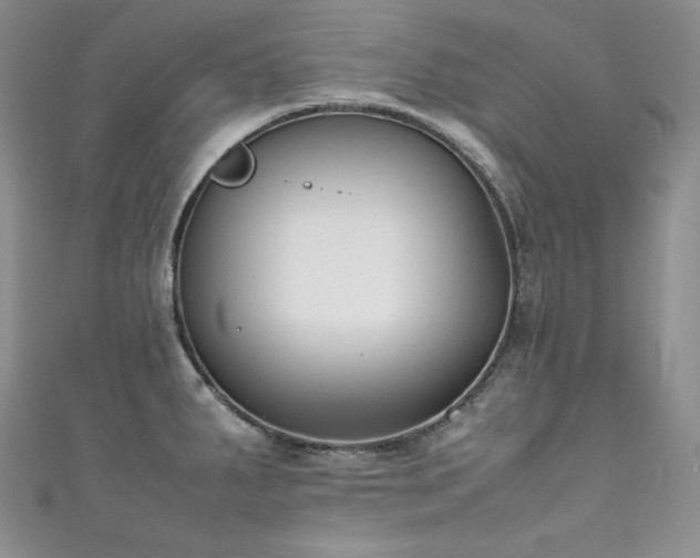 X0000111851287200907231421