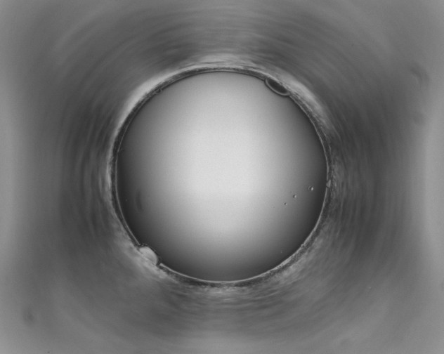 X0000111851288200907231421