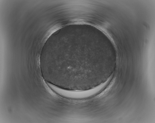 X0000111851289200907231421