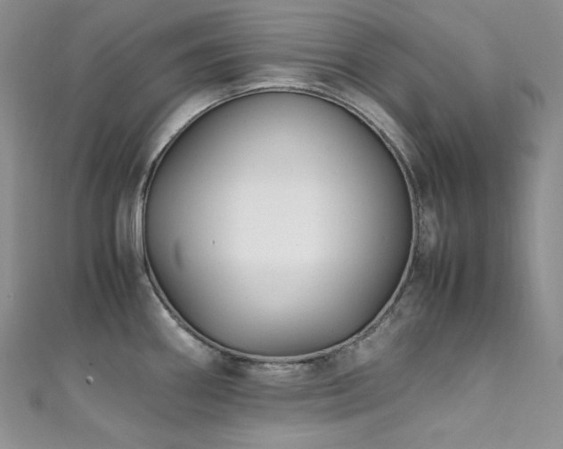 X0000111851290200907231421