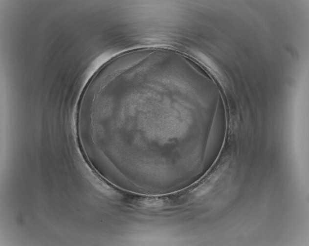 X0000111851291200907231421