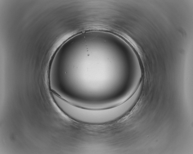 X0000111851293200907231421