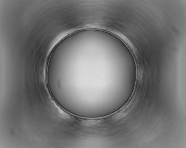 X0000111851294200907231421