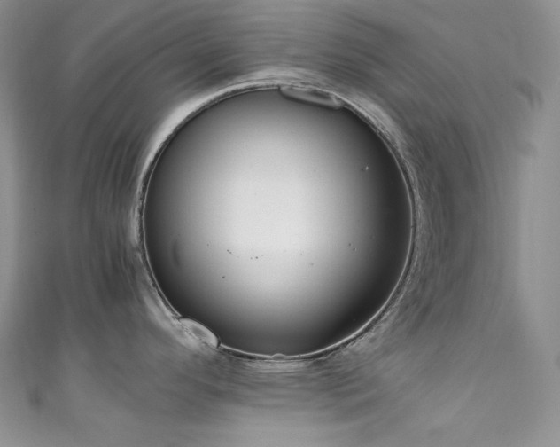 X0000111851296200907231420