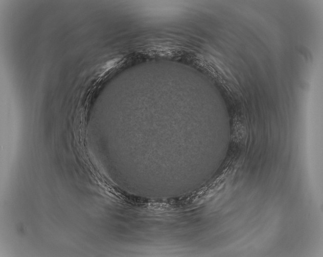 X0000111851297200907231420