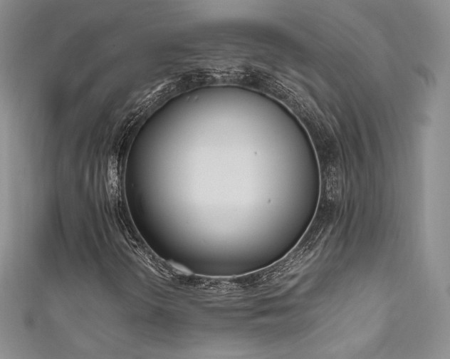 X0000111851298200907231420
