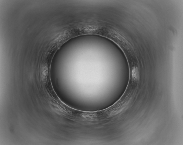 X0000111851299200907231420