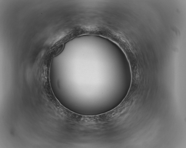 X0000111851301200907231420