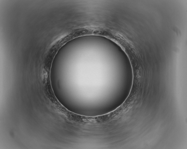X0000111851302200907231420
