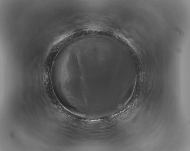 X0000111851303200907231420