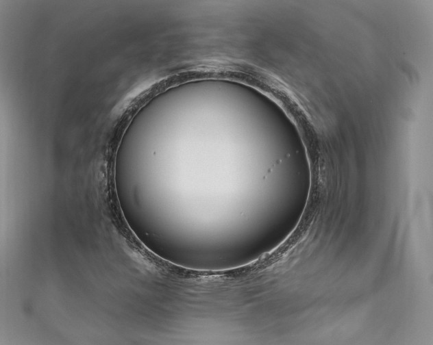 X0000111851304200907231420