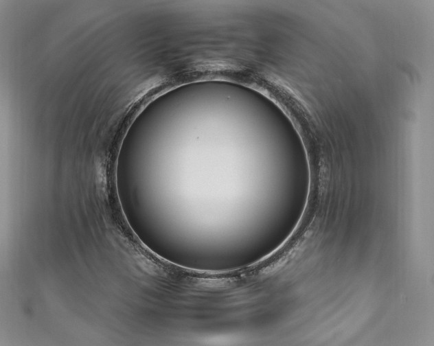 X0000111851305200907231420