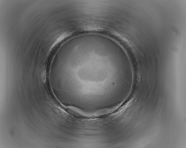X0000111851306200907231420