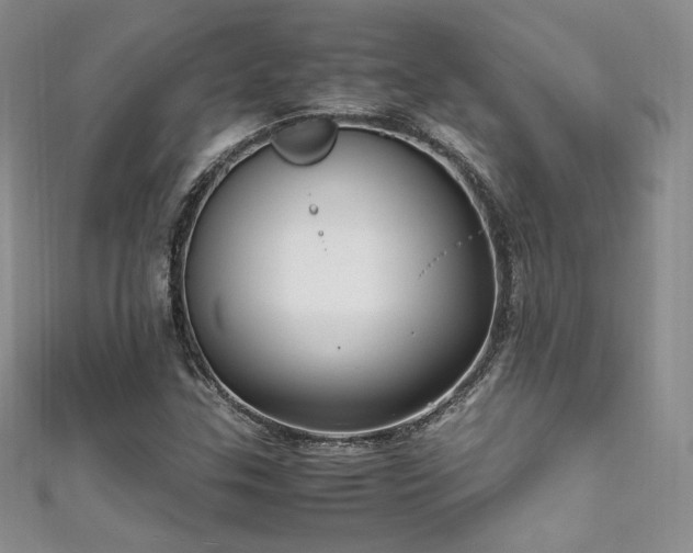 X0000111851307200907231420