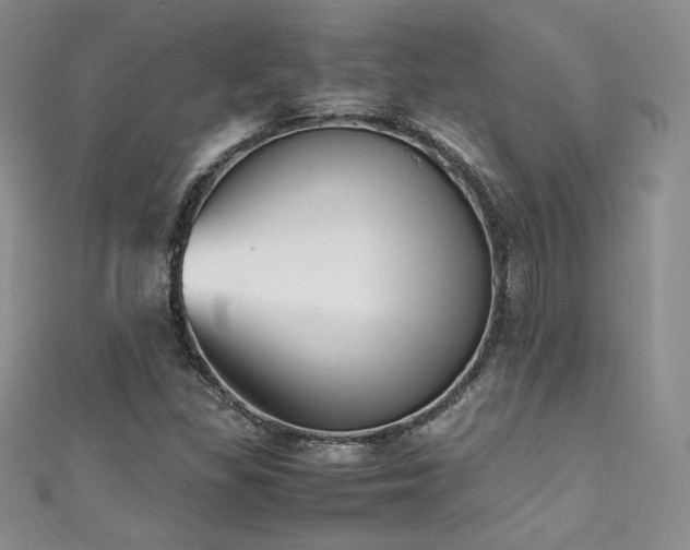 X0000111851309200907231420