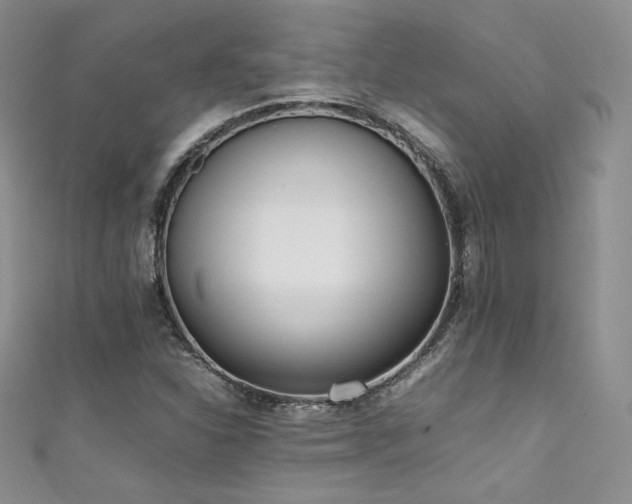 X0000111851310200907231420