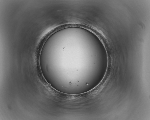 X0000111851311200907231420