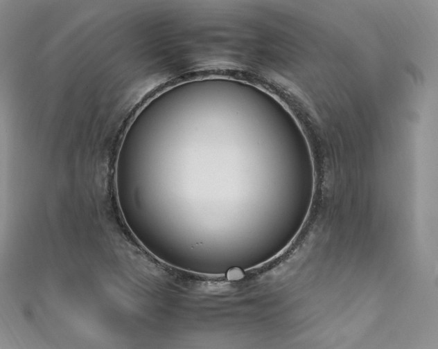X0000111851313200907231420