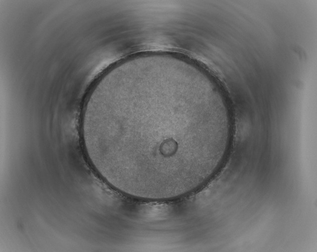 X0000111851314200907231420