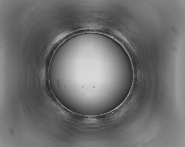 X0000111851315200907231420