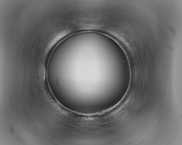X0000111851317200907231420