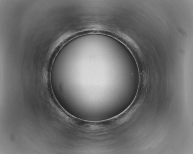 X0000111851318200907231420