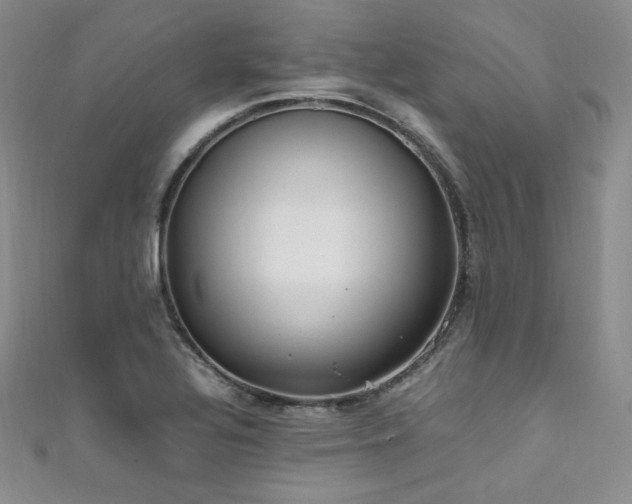 X0000111851320200907231420