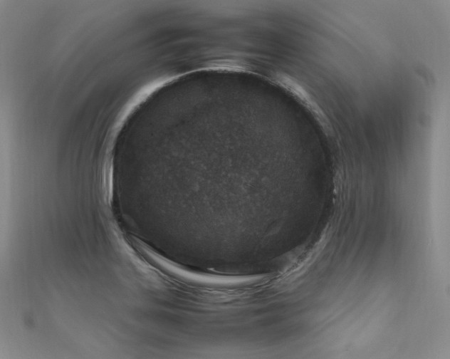 X0000111851323200907231420