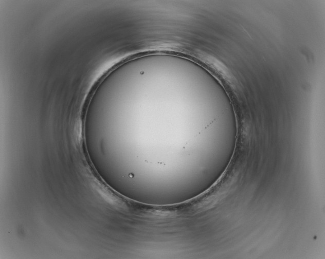 X0000111851324200907231420