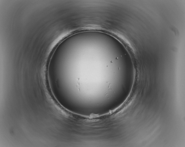 X0000111851325200907231420