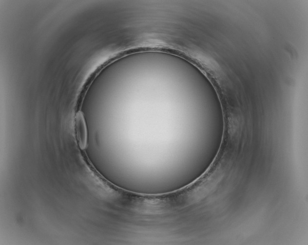 X0000111851326200907231420