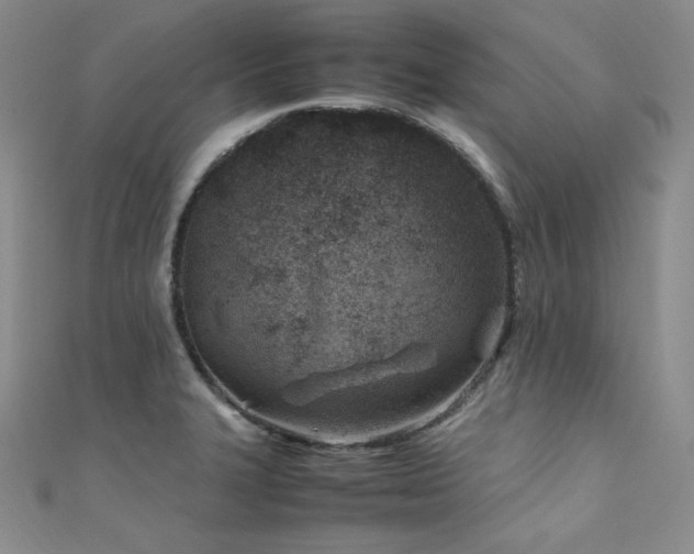X0000111851327200907231420