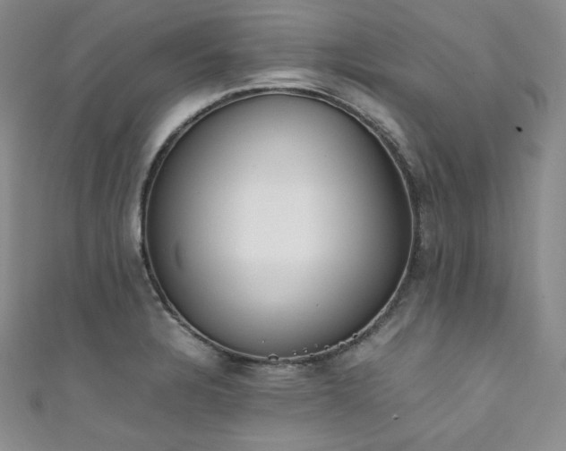 X0000111851328200907231420