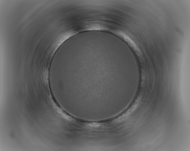 X0000111851329200907231420