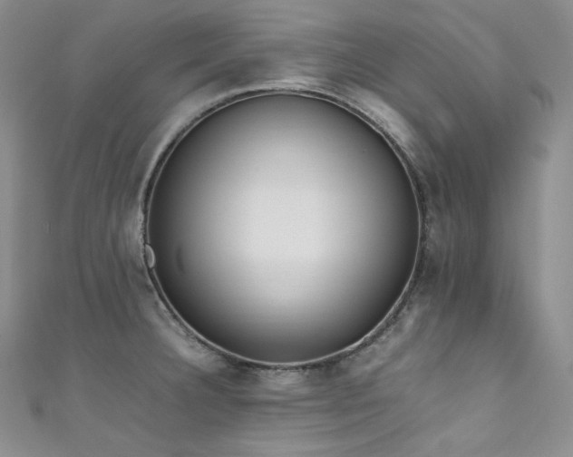 X0000111851332200907231420