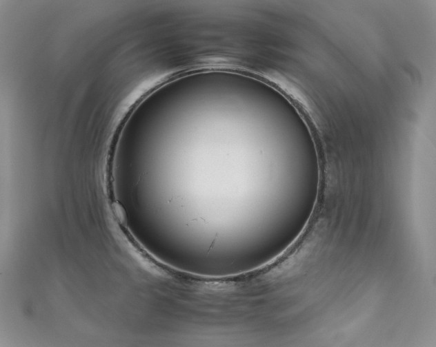X0000111851333200907231420