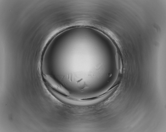 X0000111851334200907231420