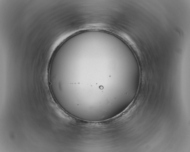 X0000111851336200907231420