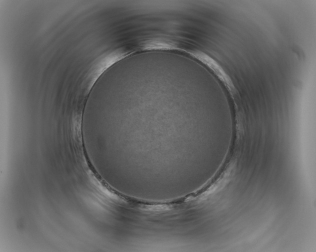 X0000111851337200907231420