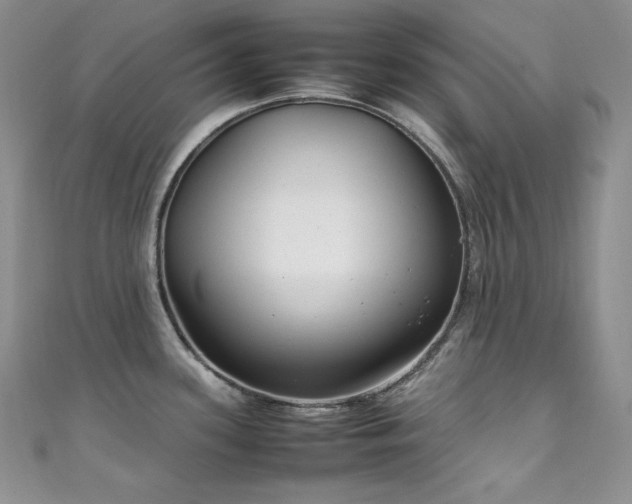 X0000111851339200907231420