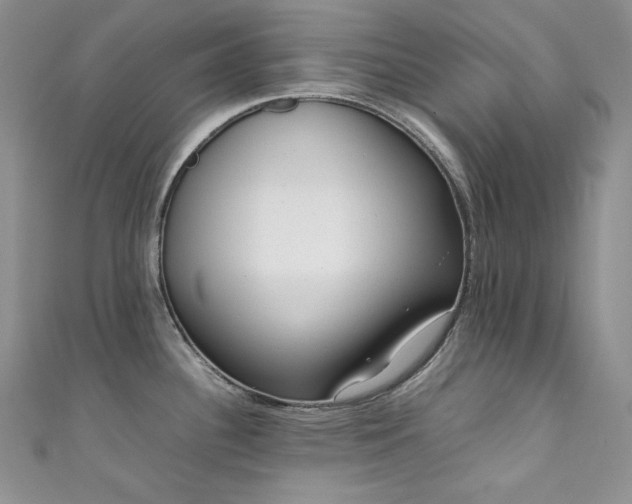 X0000111851340200907231420