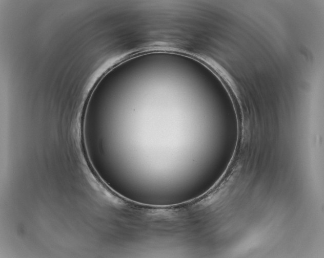 X0000111851341200907231420