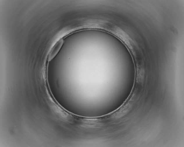 X0000111851342200907231420