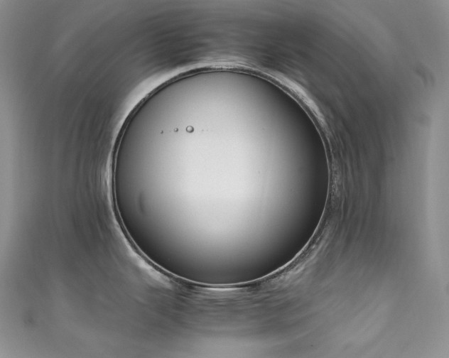 X0000111851343200907231420